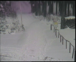 Nástup na běžecké tratě