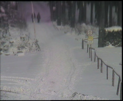 Nástup na běžecké tratě