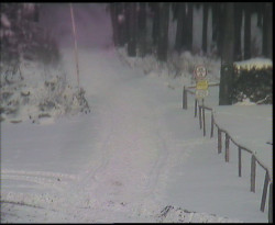 Nástup na běžecké tratě