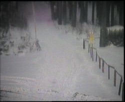 Nástup na běžecké tratě