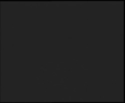 Nástup na běžecké tratě