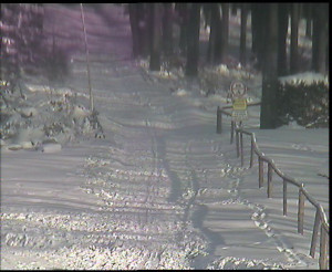 SkiAreál - Horský hotel Vsacký Cáb - Nástup na běžecké tratě - 4.1.2026 v 12:00 SkiAreál - Horský hotel Vsacký Cáb - Nástup na běžecké tratě - 4.1.2026 v 12:00