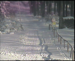 Nástup na běžecké tratě