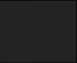 Nástup na běžecké tratě