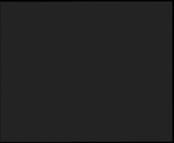 Nástup na běžecké tratě