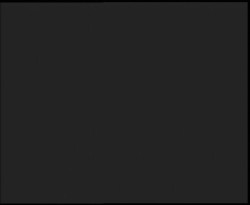 Nástup na běžecké tratě