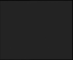 Nástup na běžecké tratě