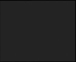 Nástup na běžecké tratě