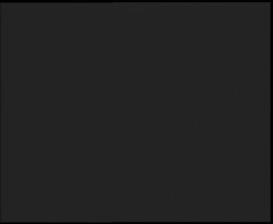 Nástup na běžecké tratě