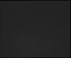 Nástup na běžecké tratě