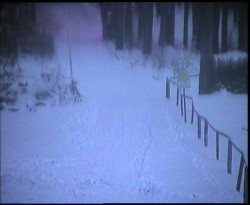 Nástup na běžecké tratě