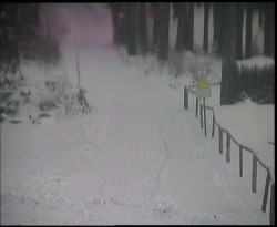 Nástup na běžecké tratě