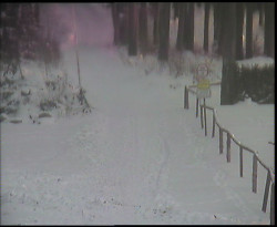 Nástup na běžecké tratě