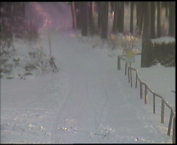 Nástup na běžecké tratě