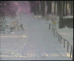 Nástup na běžecké tratě