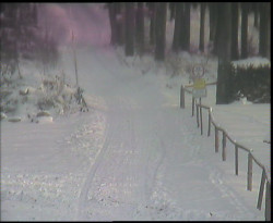 Nástup na běžecké tratě