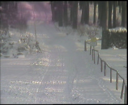 Nástup na běžecké tratě