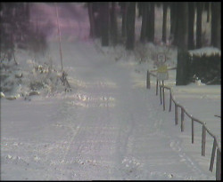 Nástup na běžecké tratě