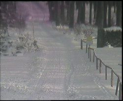 Nástup na běžecké tratě