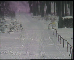 Nástup na běžecké tratě