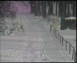 Nástup na běžecké tratě