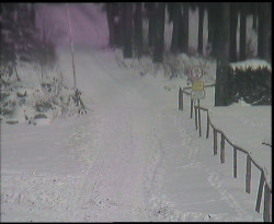 Nástup na běžecké tratě