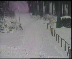 Nástup na běžecké tratě