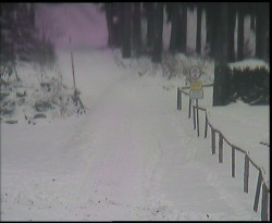 Nástup na běžecké tratě