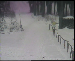 Nástup na běžecké tratě