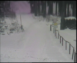 Nástup na běžecké tratě