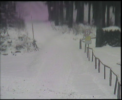 Nástup na běžecké tratě