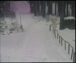 Nástup na běžecké tratě