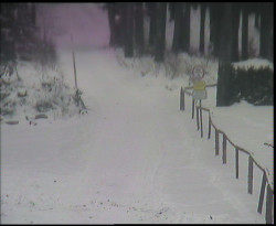 Nástup na běžecké tratě