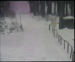 Nástup na běžecké tratě