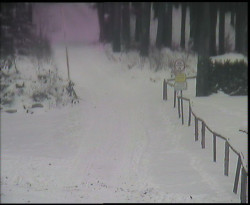 Nástup na běžecké tratě