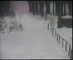 Nástup na běžecké tratě