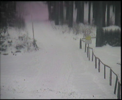 Nástup na běžecké tratě