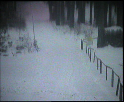 Nástup na běžecké tratě