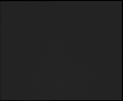 Nástup na běžecké tratě