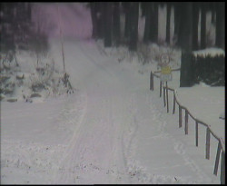 Nástup na běžecké tratě