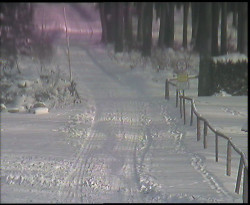 Nástup na běžecké tratě