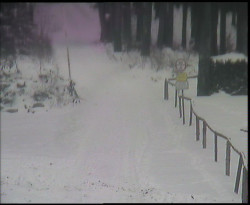 Nástup na běžecké tratě