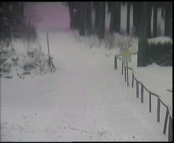 Nástup na běžecké tratě