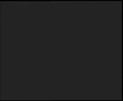 Nástup na běžecké tratě