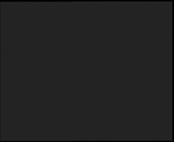 Nástup na běžecké tratě