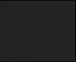 Nástup na běžecké tratě