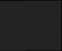 Nástup na běžecké tratě