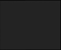 Nástup na běžecké tratě