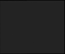 Nástup na běžecké tratě