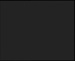 Nástup na běžecké tratě